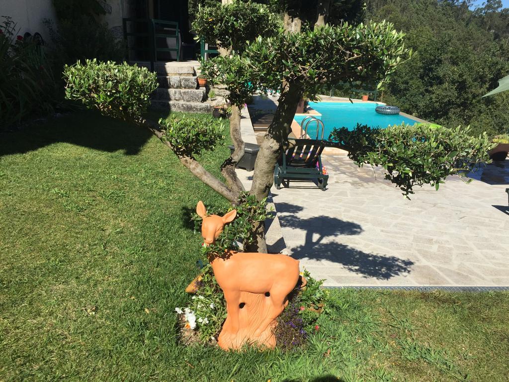 Quinta Paraiso Do Ermal Vieira do Minho Kültér fotó